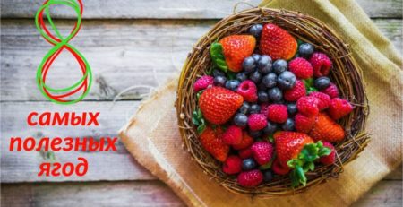 8 самых полезных ягод