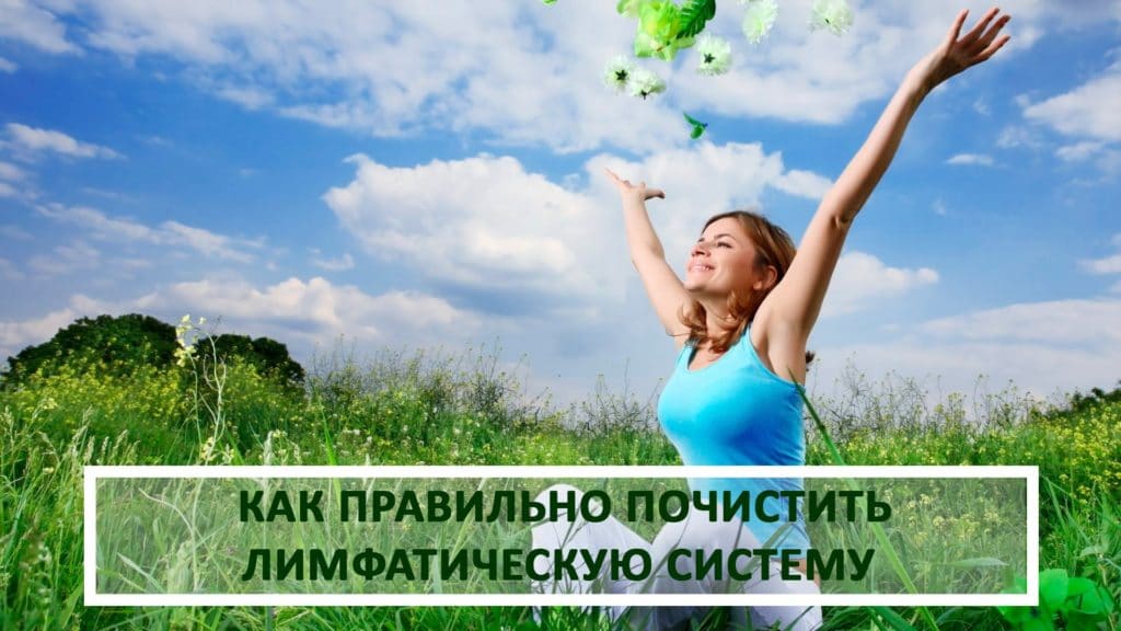 limfa Очищение организма
