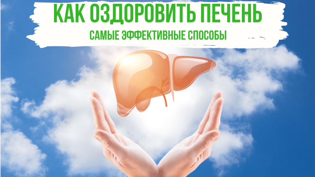 Блог Как оздоровить печень