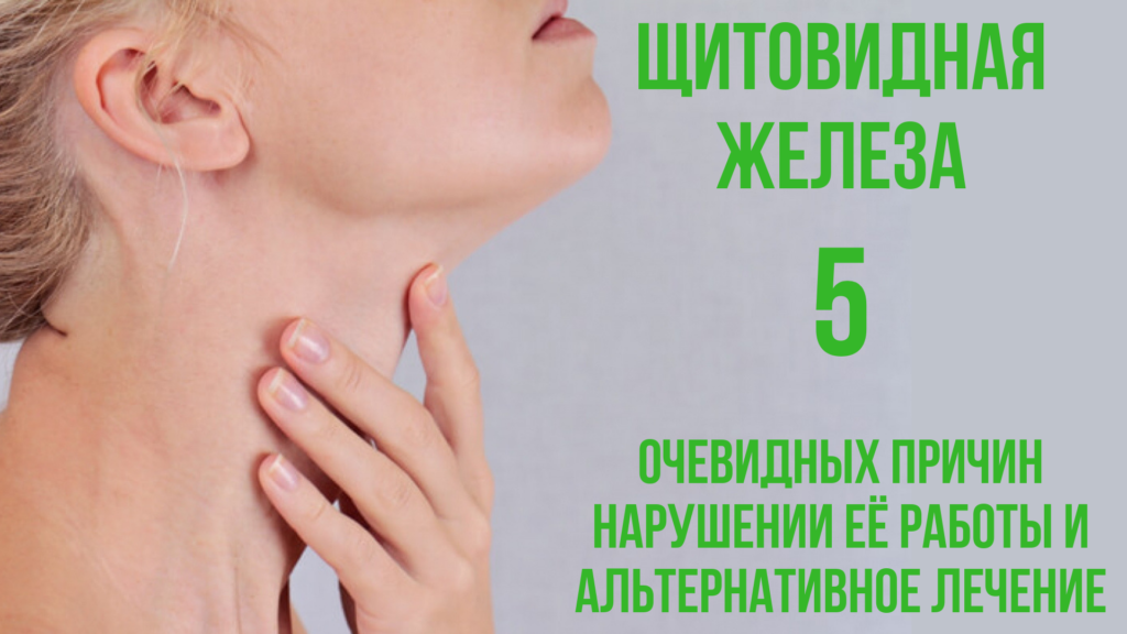 Блог Щитовидная железа