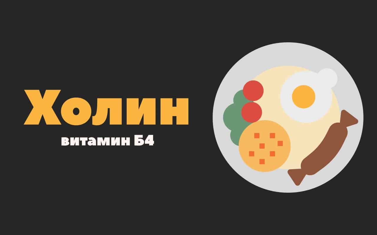 cholin-main Жиры – польза и вред