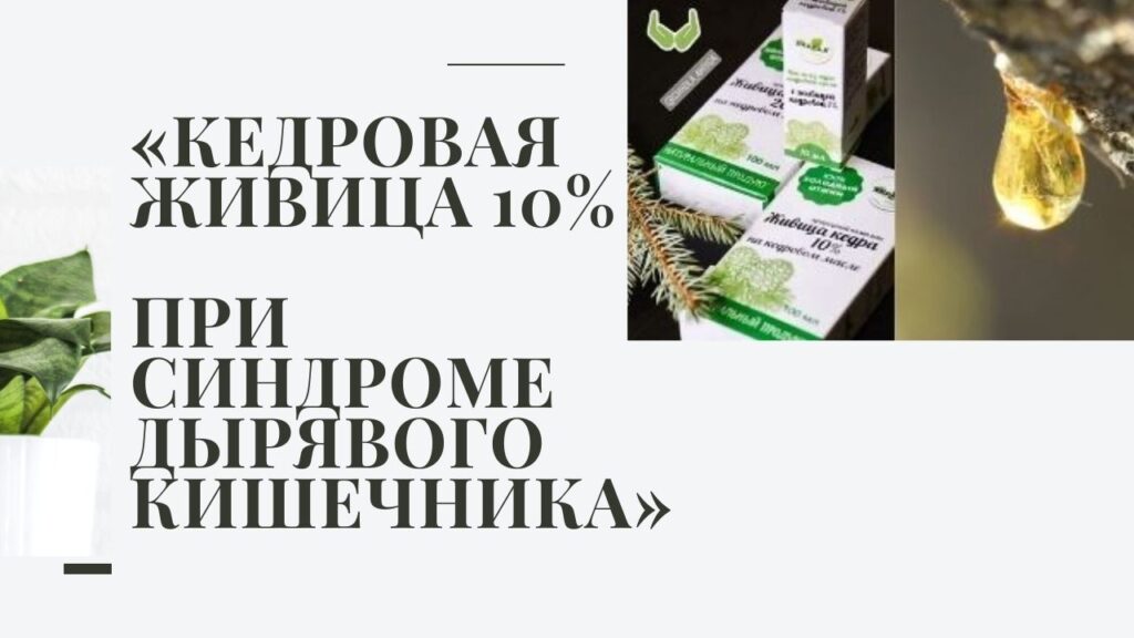 Блог кедровая живица