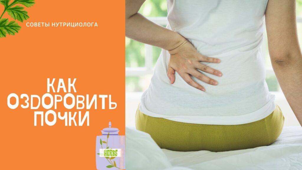 Блог почки